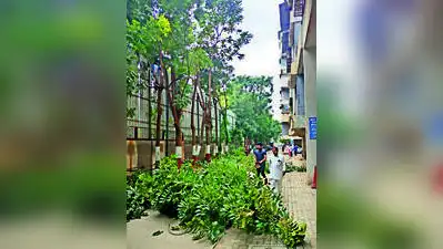 However, a senior PCMC official said manpower shortage and the financial implications could