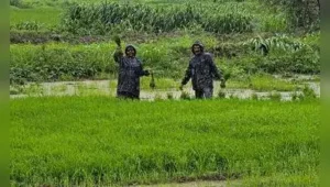 Pune: Maharashtra has completed 95.1% of its targeted kharif sowing: The wider industry impact