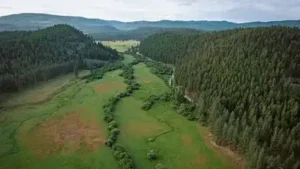 But deciding how to secure the future of the 2,330-acre Case Ranch: The wider industry impact