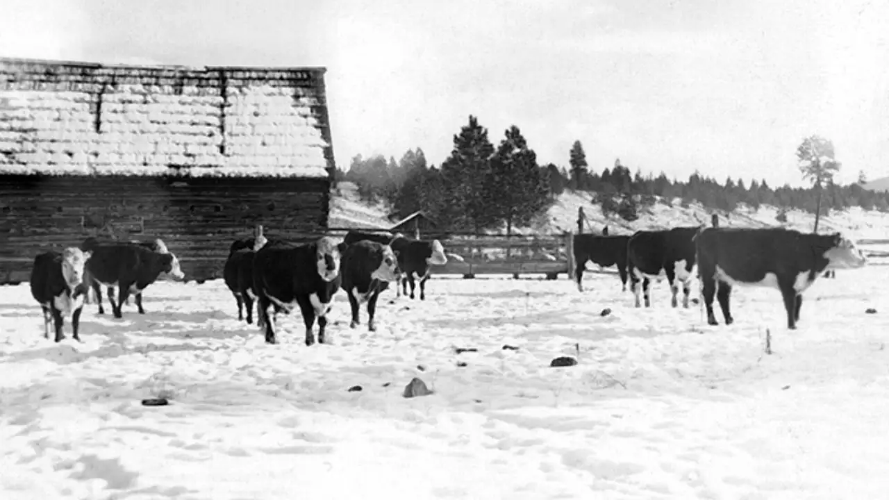 But deciding how to secure the future of the 2,330-acre Case Ranch: The wider industry impact