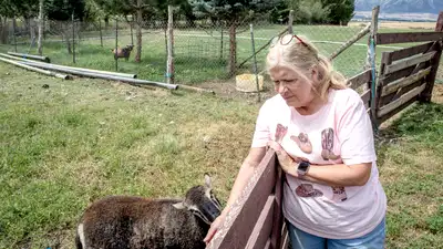 Sheri Schiess and her late husband, Boyd, worked for 14 years to preserve their 25.5-acre farm