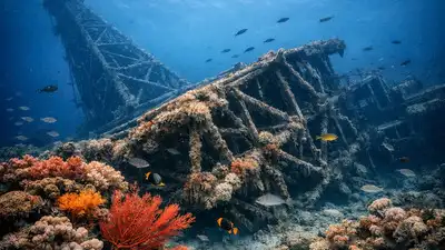 ExxonMobil toppled the 27,000-ton Lena platform 50 miles off: The wider industry impact