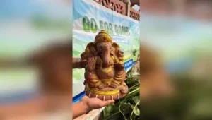 Eco-friendly Bappa to stay in homes after immersion: The wider industry impact