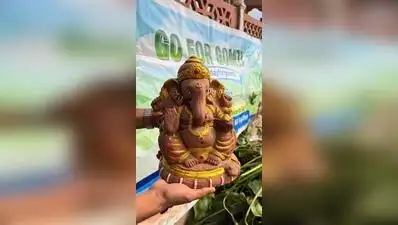 Eco-friendly Bappa to stay in homes after immersion: The wider industry impact