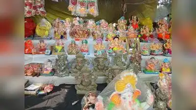 Eco-friendly Bappa to stay in homes after immersion: The wider industry impact