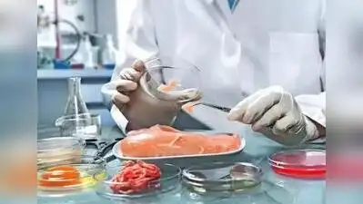 Food safety checks intensify across UP