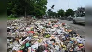 Residents said garbage remained uncleared for days, creating: The wider industry impact