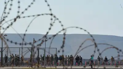 Just 1% of asylum seekers in UK genuine, insider argues