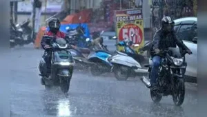 Rain deficit hits Telangana farmers hard, 11 mandals down 60%: The wider industry impact