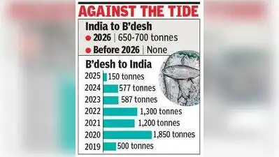 About 500 tonnes of hilsa have already crossed Petra-pole border: The wider industry impact