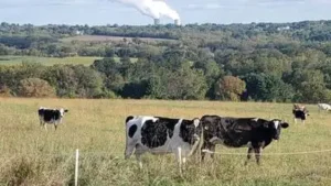 Paul and Cynthia Black’s conservation efforts have helped protect 78.3 acres in Pennsylvania