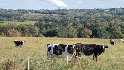 Paul and Cynthia Black’s conservation efforts have helped protect 78.3 acres in Pennsylvania