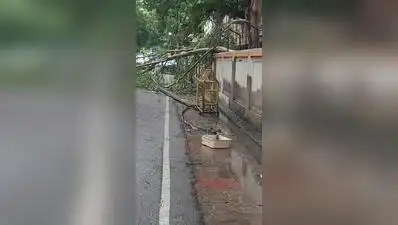 Heavy rain disrupts power supply across Lucknow, discom raced: The wider industry impact