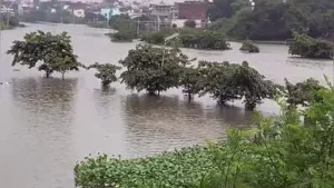 At 8am, the Ganga stood at 82.86 m at Phaphamau and 81.87 m at Chhatnag, while the Yamuna was