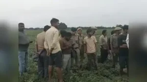 Drone search fails to find animal after fatal attack on woman in Hardoi