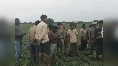 Drone search fails to find animal after fatal attack on woman in Hardoi