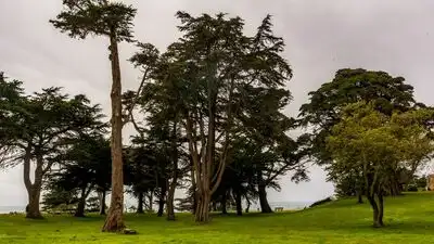In the 1880s, Adolph Sutro built a 22-acre San Francisco estate: The wider industry impact