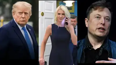 Ted Cruz revealed that Natalie Harp printed Elon Musk's tweet and straight gave it to Trump