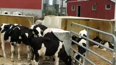 In 2011, a Massachusetts dairy installed the state's first agricultural digester; by 2020, manure