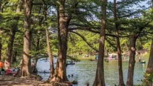 Texas park authorities have acquired a 1,720-acre ranch in Uvalde County to create Bear Creek