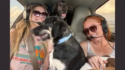 Winter Park nonprofit transports 12,000 animals to Florida rescues