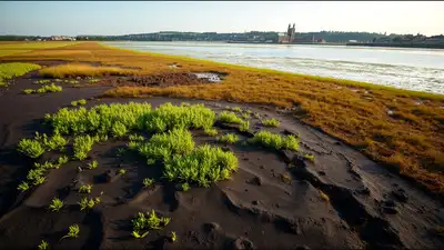 UK harbour moved dredged mud onto a damaged saltmarsh; within one: The wider industry impact