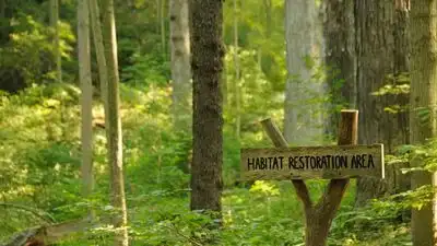 An anonymous donor gave Cincinnati $1.8 million to restore 228 acres: The wider industry impact
