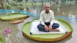 A 90-year-old visitor sits on a giant water lily leaf at Botanic: The wider industry impact