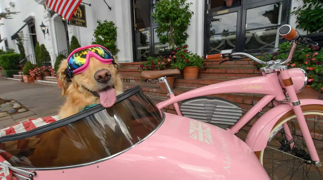 When Doris Day became a co-owner of the Cypress Inn in Carmel-by-the-Sea in 1988, she was not
