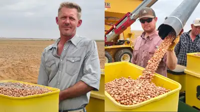 He quit school at 12 to bag peanuts; 22 years later, he runs a Texas: The wider industry impact