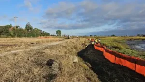 Palo Alto’s 500-foot living levee reuses treated wastewater: The wider industry impact