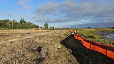 Palo Alto’s 500-foot living levee reuses treated wastewater: The wider industry impact