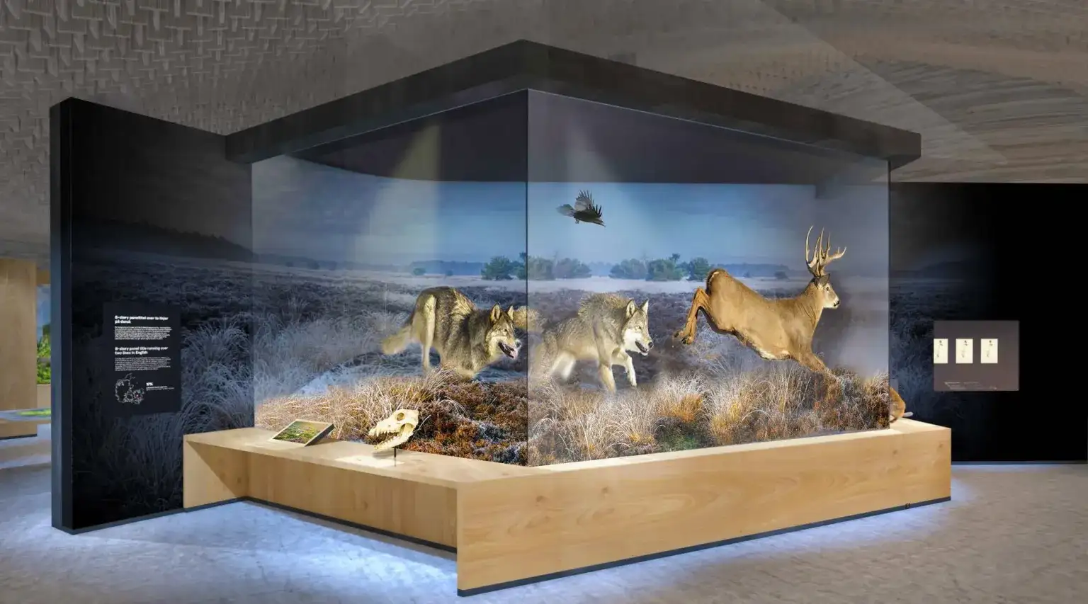Copenhagen’s £200 million Natural History Museum will open its new: The wider industry impact