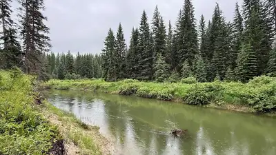 In 2003, Sean and Melodye Rooney bought Montana land beside: The wider industry impact
