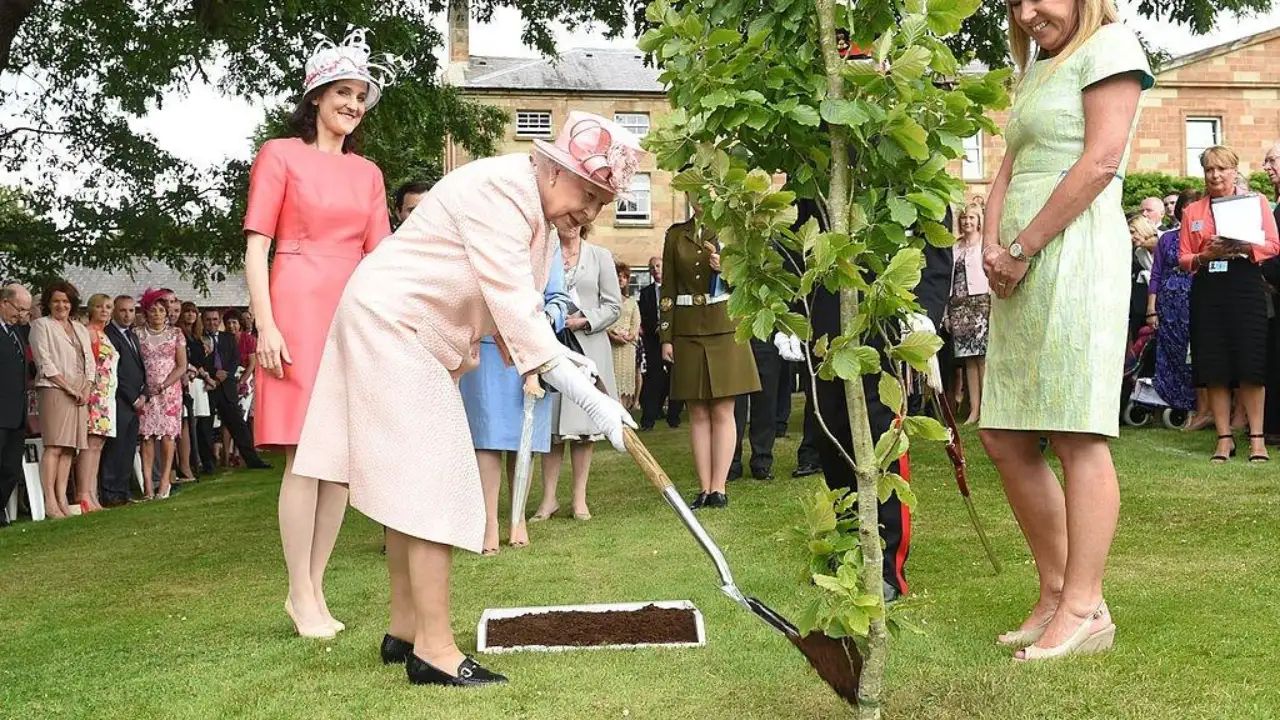 In 2021, Queen Elizabeth began a tree-planting initiative. By 2023, it became a nationwide memorial