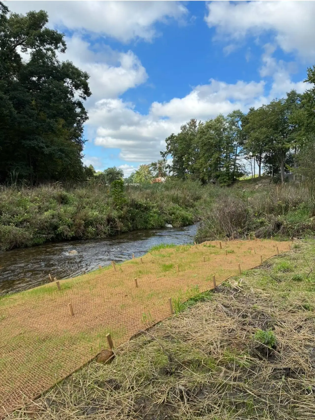Michigan’s Brooklyn Dam has been removed after 85 years, transforming the River Raisin