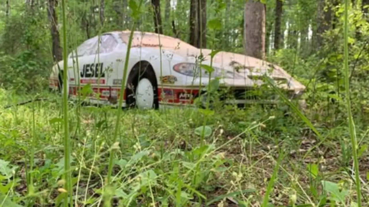 More than 75 wrecked race cars are scattered across his estate: The wider industry impact