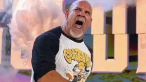 WWE career earnings, WCW salary, match payouts, endorsements, business ventures, assets