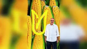 Humble popcorn paves way for farming mission: The wider industry impact