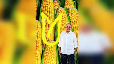Humble popcorn paves way for farming mission: The wider industry impact