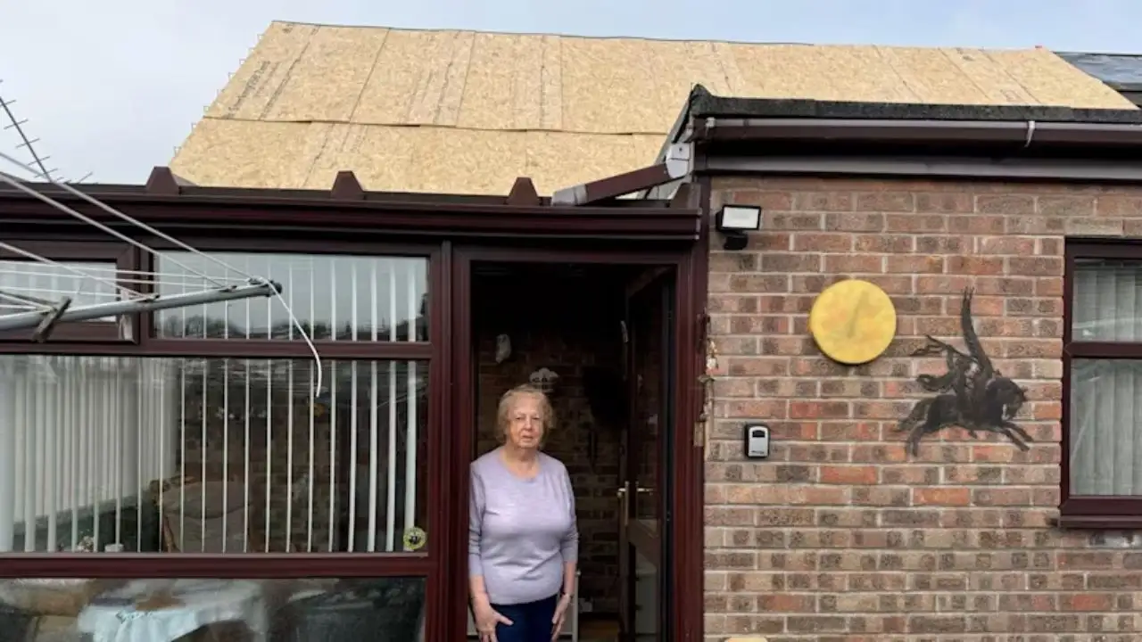 A dog refused to leave the house before a mini tornado hit a Cornish village on 23 Jan 2025; its