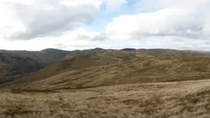 In 2012, an English upland restoration project began fencing sheep: The wider industry impact