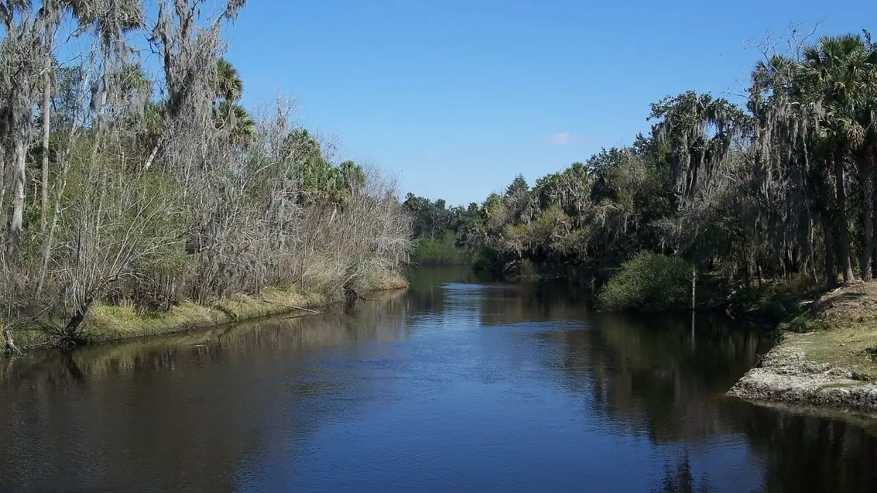 A first-generation Florida rancher spent years saving to buy 660: The wider industry impact