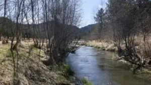 Gary Verbrugge, a 72-year-old man in Washington state, inherited nearly 900 acres of woodland