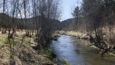 Gary Verbrugge, a 72-year-old man in Washington state, inherited nearly 900 acres of woodland