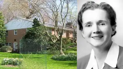 In 1952, Rachel Carson bought a Maine cottage and studied tidal pools; six years later she began