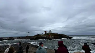 US Nor’easter batters East Coast, cancels over 400 flights, leaves: The wider industry impact