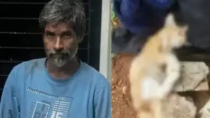 Twenty-four hours after Chembur's suspected serial cat killer, a 40-year-old homeless man