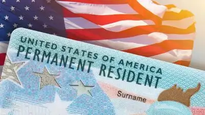 US Green card wait times stretches to 179 years for Indian: The wider industry impact