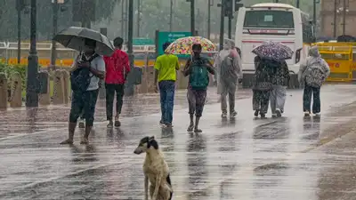Delhi’s Sunday recorded its lowest minimum temperature in 18 years —: The wider industry impact
